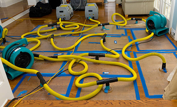 Professional Storm Water Damage Restoration technician working in Fredonia, AZ